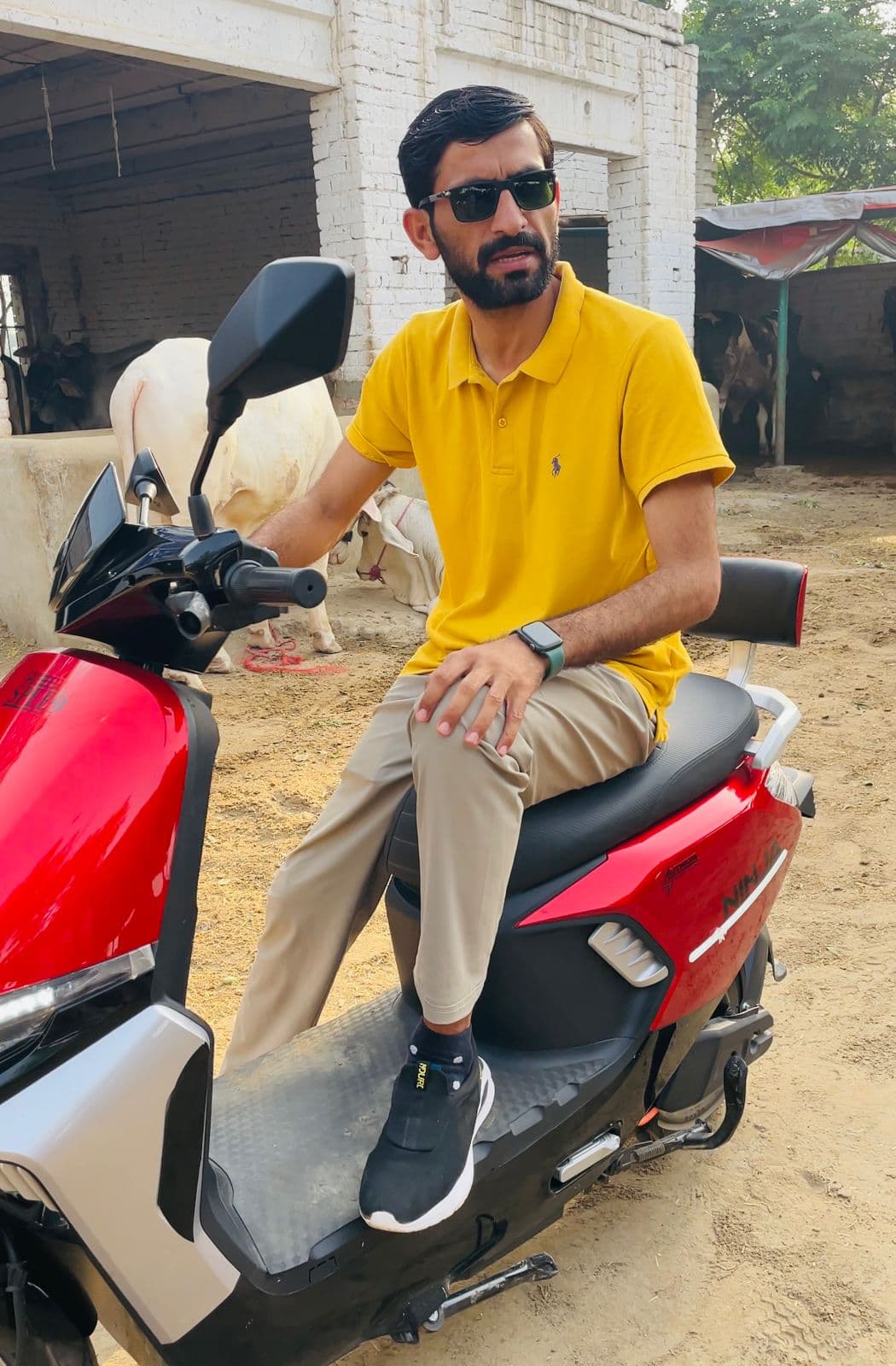 At Sultan Cattle Farm, Kotadu